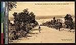 Porters carrying wood, Lisala, Congo, ca.1901 (IMP-YDS-RG101-021-0000-0087)